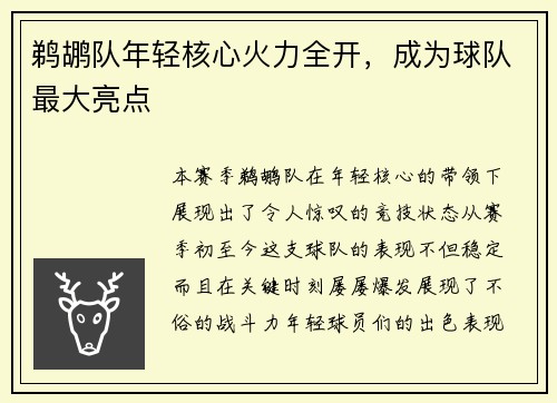 鹈鹕队年轻核心火力全开，成为球队最大亮点